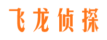 渑池侦探公司